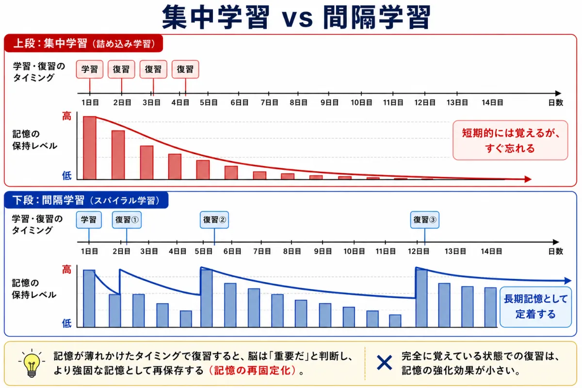 集中学習と間隔学習の比較 — 集中学習は短期的にしか記憶が残らないが、間隔学習は復習のたびに記憶が回復し長期記憶として定着する
